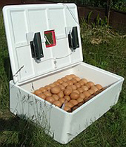 Инкубатор для яиц Рябушка ИБ-70 (70 яиц) с механическим переворотом